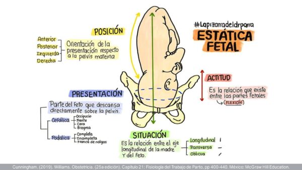 Atención del Trabajo de Parto de Bajo Riesgo (PDF GRATIS) - Image 5