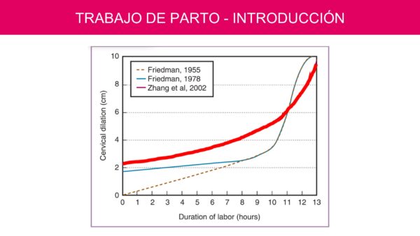 Atención del Trabajo de Parto de Bajo Riesgo (PDF GRATIS) - Image 7