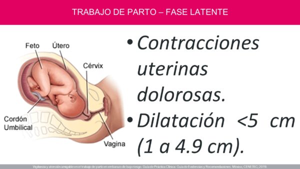Atención del Trabajo de Parto de Bajo Riesgo (PDF GRATIS) - Image 9