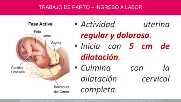 Atención del Trabajo de Parto de Bajo Riesgo (PDF GRATIS) - Image 10