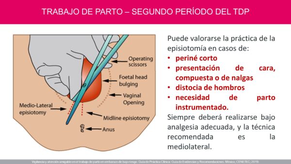 Atención del Trabajo de Parto de Bajo Riesgo (PDF GRATIS) - Image 11